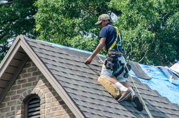 Best Shingle Roofing Installation  in Wetumka, OK
